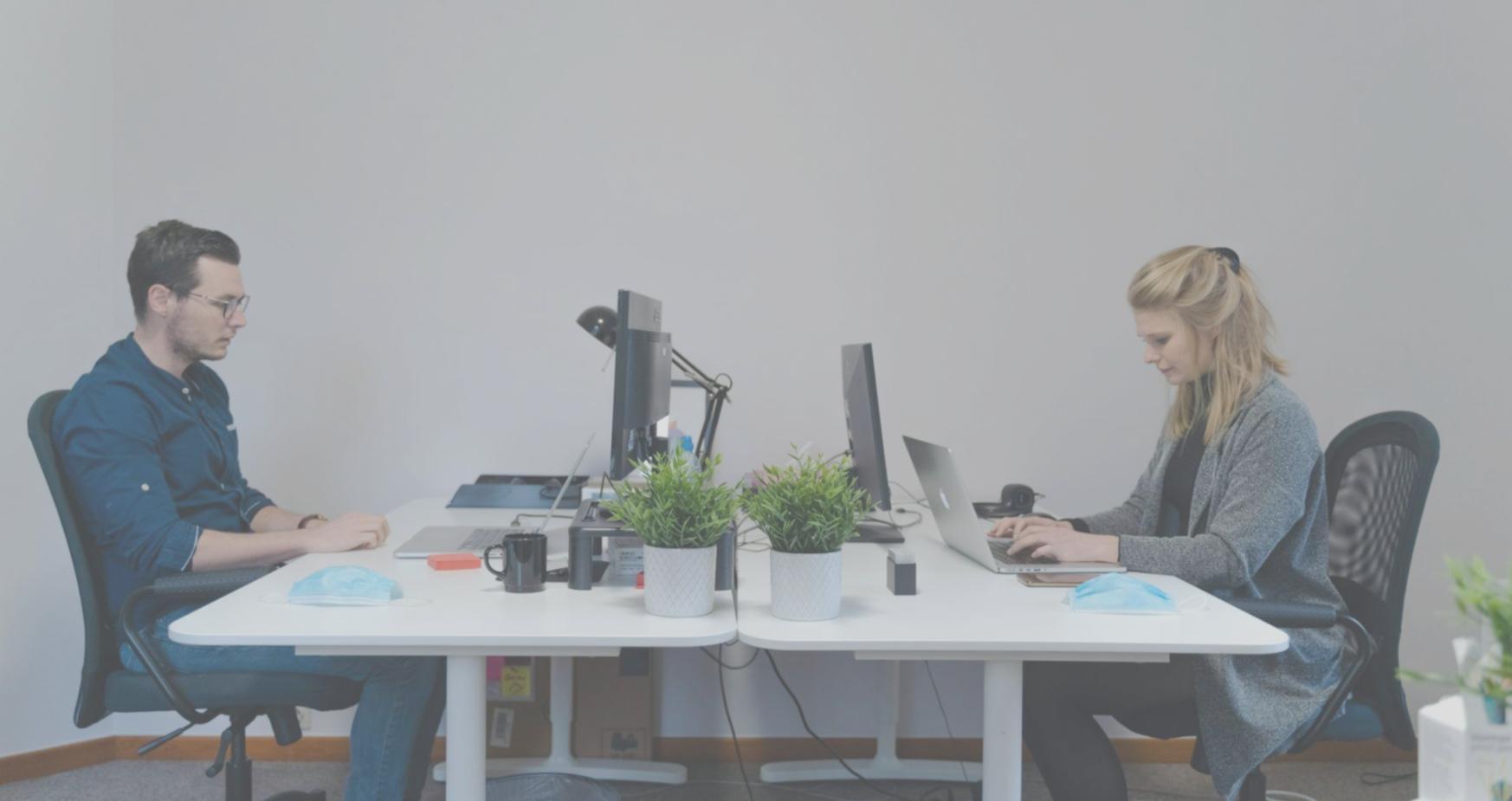 Professional reviewing business documentation and financial statements